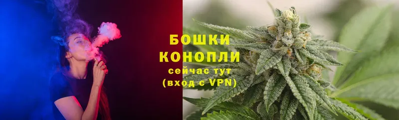 магазин продажи наркотиков  Алейск  Каннабис Ganja 